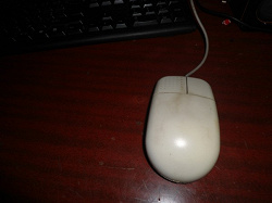 Отдается в дар «мышь компьютерная»