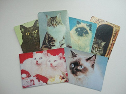 Отдается в дар «Карманные календарики — кошки»