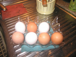 Отдается в дар «Подставка для яиц»