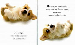 Отдается в дар «Книжка о собачках»