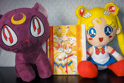 Отдается в дар «Sailor Moon (Сейлор Мун) тетрадка»