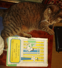 Отдается в дар «Книжка про похудение»