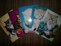 Отдается в дар «открытки кошки»