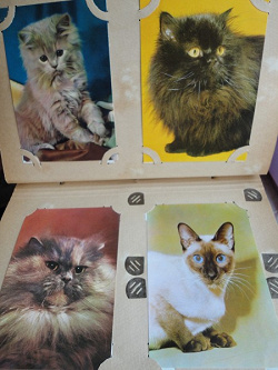 Отдается в дар «Альбом с открытками — кошки»