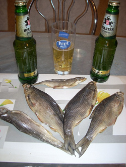 Отдается в дар «рыба сушеная 20-25 см»