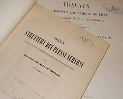 Отдается в дар «книги по зоологии аж 1871 года»