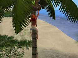 Отдается в дар «Игры The sims2( осталась одна незаберашка)»