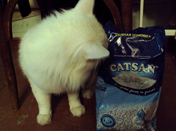 Отдается в дар «Наполнитель Catsan для котят 2,5л.»