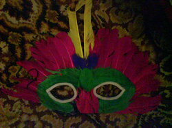 Отдается в дар «карнавальные маски из перьев»