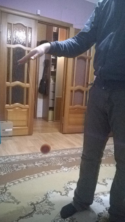 Отдается в дар «Йо-йо»