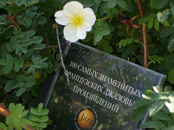 Отдается в дар «Музыкальные диски»