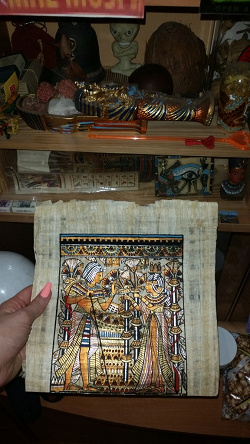 Отдается в дар «Папирус из Египта»
