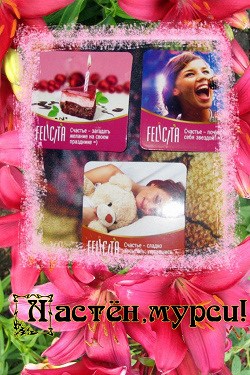 Отдается в дар «Магниты Felicita»