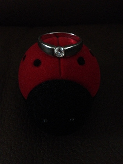 Отдается в дар «Новое серебряное кольцо 925 проба, размер 20,5»