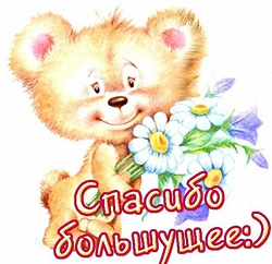 Отдается в дар «Кофты разные»