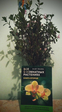 Отдается в дар «Книга «Все о комнатных растениях»»