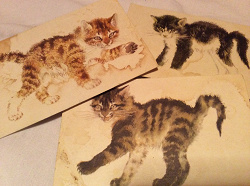 Отдается в дар «открытки с кошками»