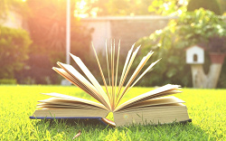 Отдается в дар «Книга «Травник. Золотые рецепты народной медицины»»