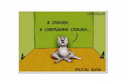 Отдается в дар «Новопассит»