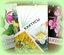 Отдается в дар «Открытки»