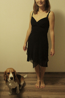 Отдается в дар «Вечернее черное платье Jane norman -несколько фото»