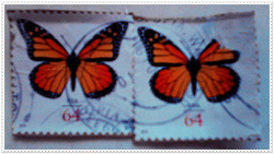 Отдается в дар «пара марок из США»