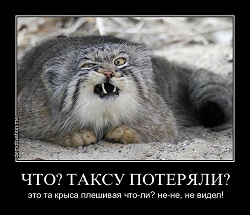 Отдается в дар «Очередной профессиональный — о конфликтах»