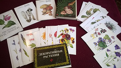 Отдается в дар «Набор открыток Декоративные растения»