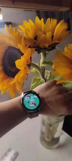 Отдается в дар «Умные часы Huawei Watch GT»
