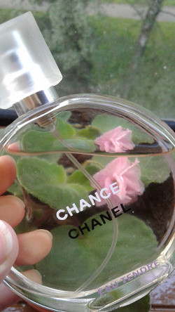 Отдается в дар «Chanel Chance Eau Tendre (возможно фейк)»