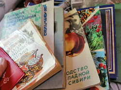 Отдается в дар «Книги»