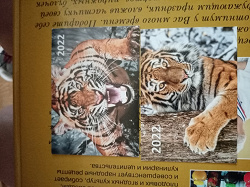Отдается в дар «Календарики тигры»