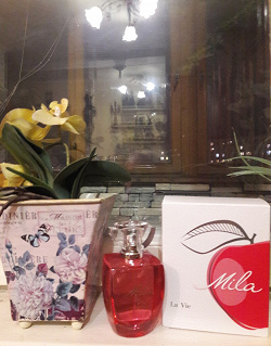 Отдается в дар «Туалетная вода Mila Dilis Parfum»
