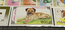 Отдается в дар «7 зарубежных марок фауны.»