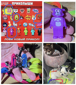 Отдается в дар «Мелочь»