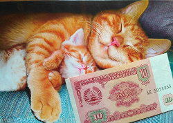 Отдается в дар «Банкнота Таджикистана»