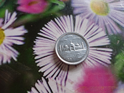 Благодарность за дар Южноазиатская монета.