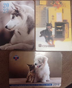 Отдается в дар «Календарики Кошки с другими животными»