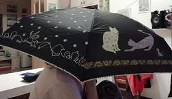 Отдается в дар «Зонтик с котиками»