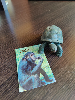 Отдается в дар «карманные календарики с обезьянками, 1992г»