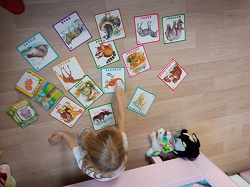 Отдается в дар «Карточки с двустишиями о животных для малышей.»