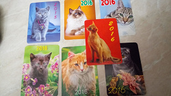 Благодарность за дар Календарики«кошки
