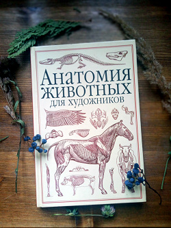 Отдается в дар «Книга Анатомия животных»