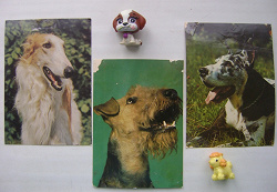 Отдается в дар «открытки с собаками»
