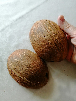 Отдается в дар «кокосовая скорлупа»