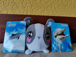 Отдается в дар «карманные календарики с дельфинами»