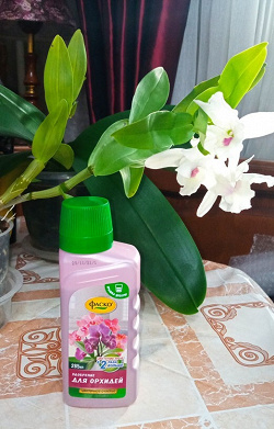 Отдается в дар «Удобрение для орхидей»