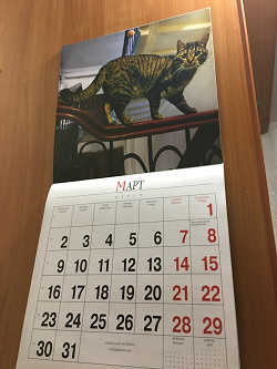 Отдается в дар «календарь «Кошки Санкт-Петербурга»»