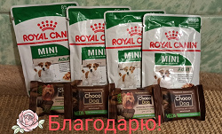 Отдается в дар «Влажный корм Royal canin»