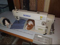 Отдается в дар «Швейная машинка со столом gemsy GEM5550»